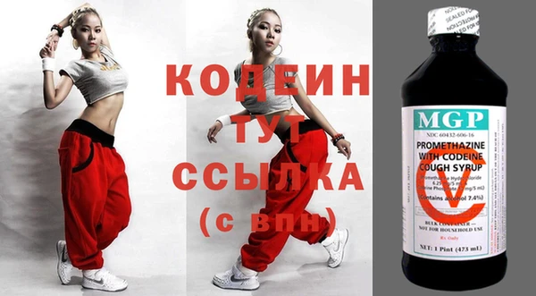 гашик Нея
