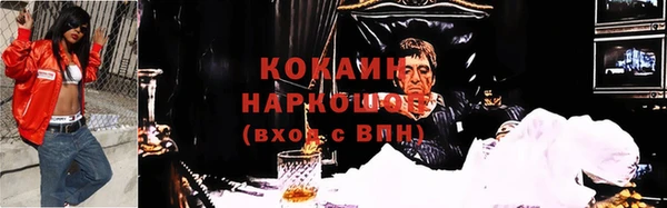 гашик Нея