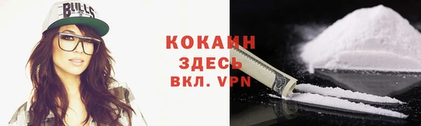 гашик Нея